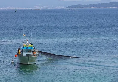 Заради атаките в Черно море: Спад на улова отчитат рибарите