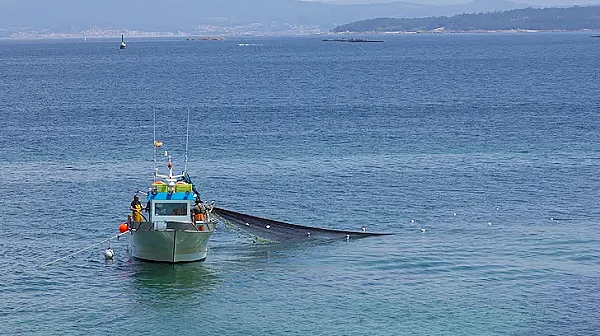 Заради атаките в Черно море: Спад на улова отчитат рибарите